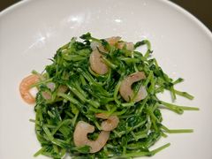 -東大方(湖州白鹭迎店)