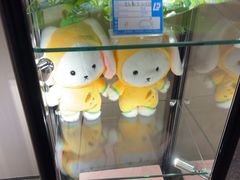 -漫·汤泉