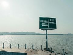 -海鸥岛