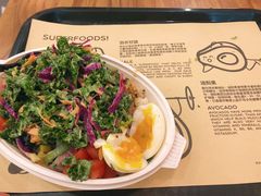 -油梨树 AVOCADO TREE(亮马桥店)