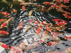 -香麒园·过桥米线·南湖雅宴