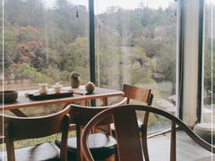 靠窗位-厦门园林植物园-植物园滴水山房