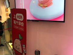 -狐狸和向日葵(北京路店)
