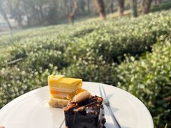 -野蔓果·山野菜(西湖景区·龙井茶田店)