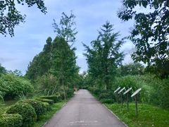 -白鹭湾湿地公园