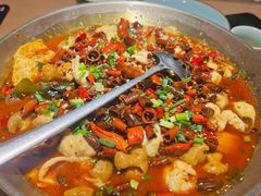 -胡马八破·川菜小馆(宽厚里店)