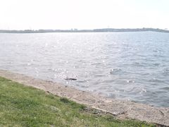 -丁香湖公园