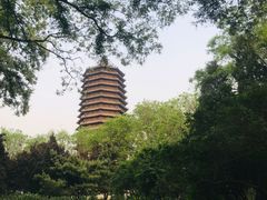 -玲珑塔公园