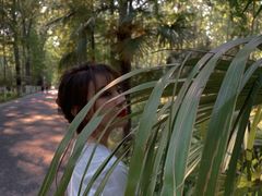 -合肥滨湖国家森林公园