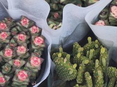 -循礼门鲜花花市(武汉循礼门店)