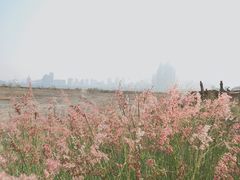 -海沧湾公园