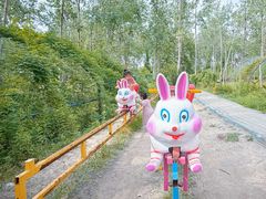 -合肥滨湖国家森林公园