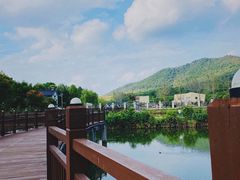 -石塘人家