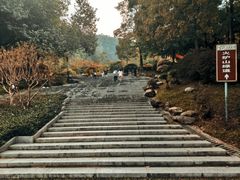 -火炉山森林公园
