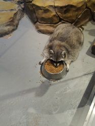 -未来动物城动物主题公园(大悦城店)