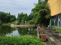 -田园东方蜜桃村的田野营地