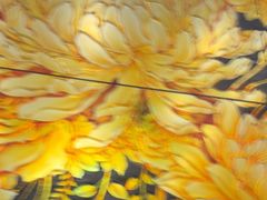 -美林大浴场(奥体中心店)