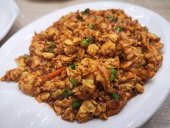 酱爆鸡蛋-大地春饼店(黄河路店)