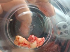 -青岛市口腔医院(总院)