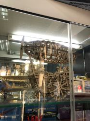 -新时模型(新街口店)