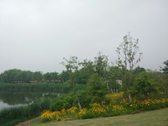 -尚贤河湿地