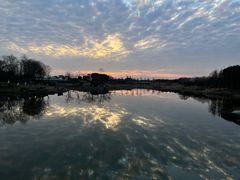 -贡湖湾湿地公园