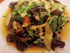 菠菜木耳炒鸡蛋-新疆欣悦饭庄