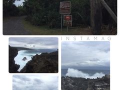 -龙坑生态保护区