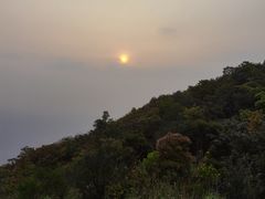 -梧桐山风景名胜区