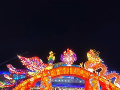 -大连老虎滩海洋公园