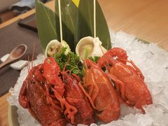 -菊上•尊品料理(蚌埠银泰店)