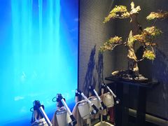 -新盈光·心院(嘉恒广场店)