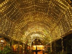-The Grounds of Alexandria
