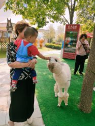 -萌宠亲子动物乐园(槐房万达店)