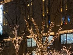 -远洋未来广场(育慧北路店)