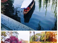 -西湖外事游船(花港观鱼码头)