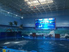 -多彩贵州城极地海洋世界