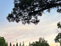 -扬州瘦西湖温泉