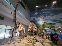 -自贡恐龙博物馆