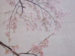 -龙美术馆(西岸馆)
