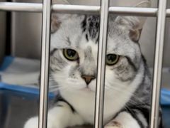 -宠颐生宠物医院·犬猫全科·皮肤科(商业街店)