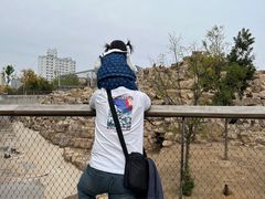 -太原动物园