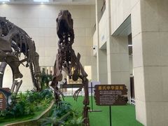 -广西壮族自治区博物馆