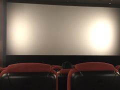 -太平洋影院(西村店)