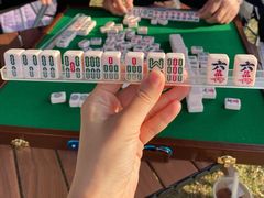 -春花秋色城市公园