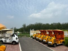 -天津东丽湖风景区