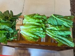 -老石黑山羊毛驴肉火锅(金凯广场店)