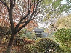 -杭州西溪喜来登度假大酒店
