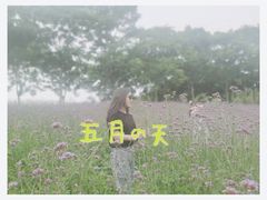-大塘金香草谷