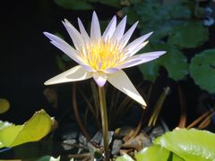 -天河体育中心